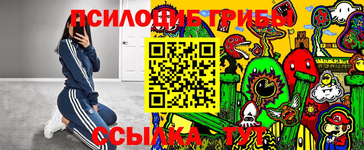 Куйбышев  Галлюциногенные грибы мухоморы  Галлюциногенные грибы ЛСД  Вход с VPN 